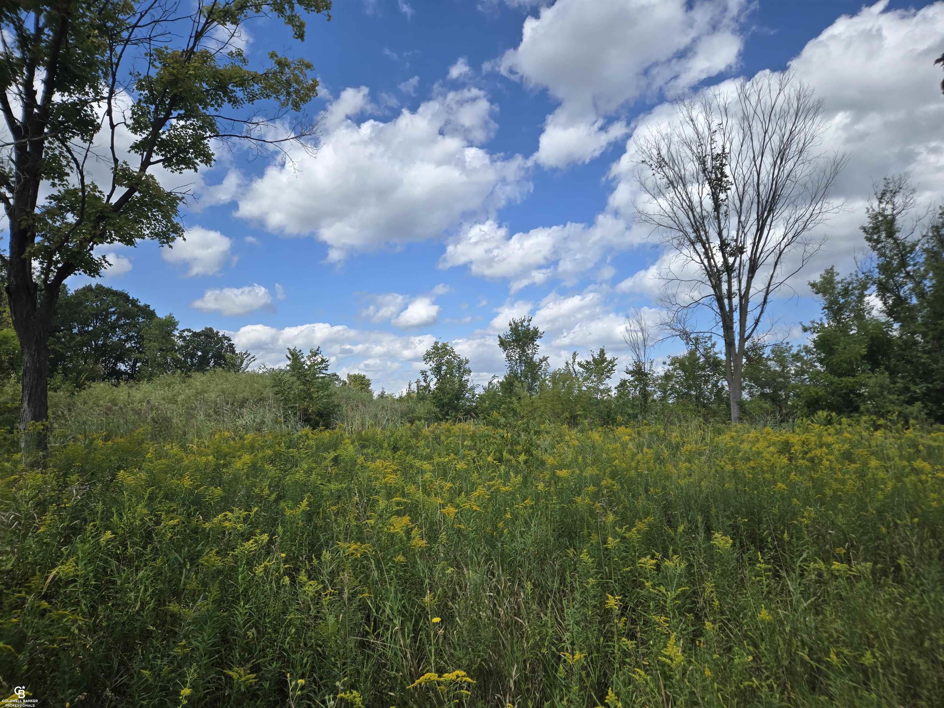 14296 Tubspring VL Road