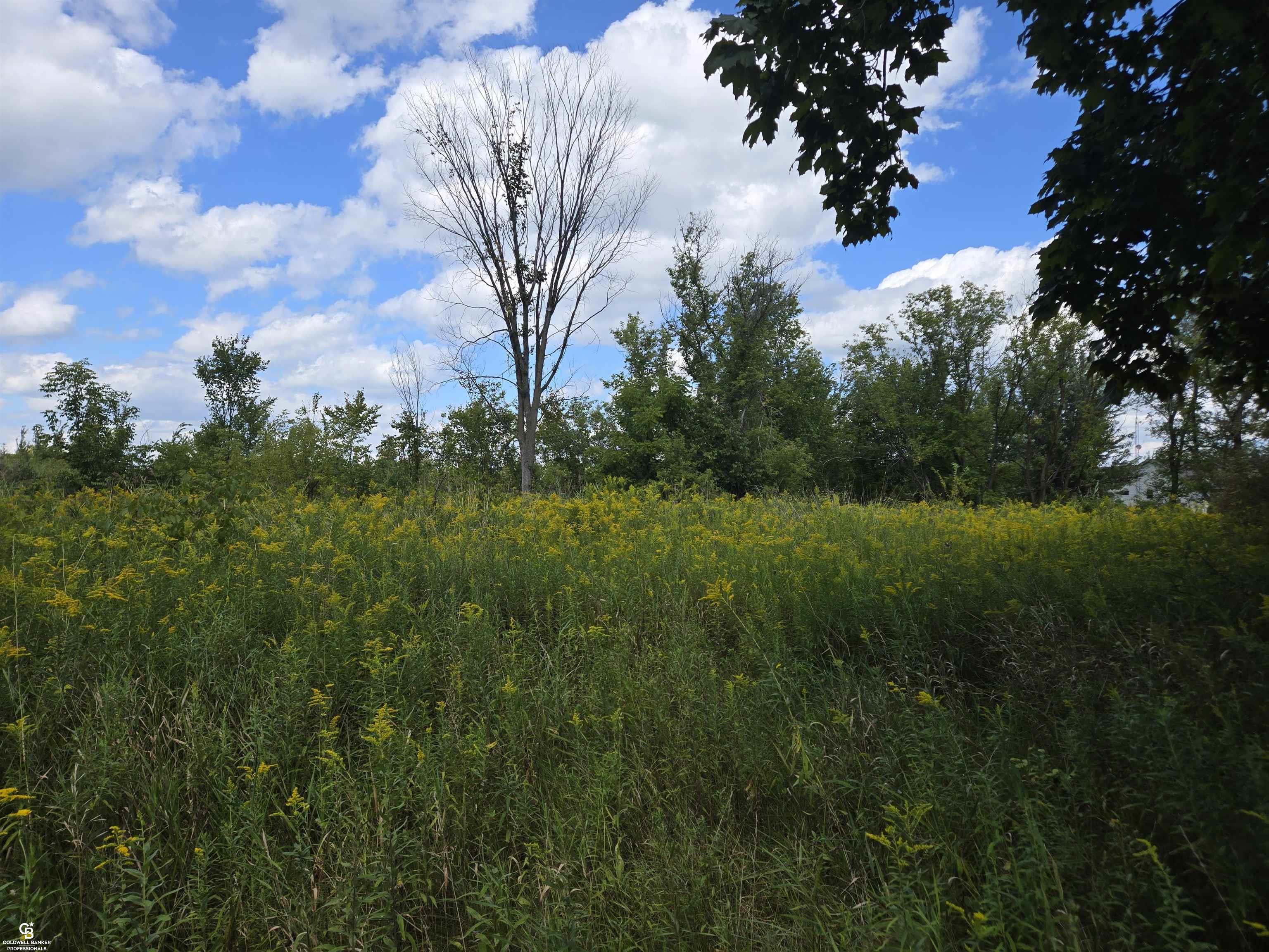 14296 Tubspring VL Road