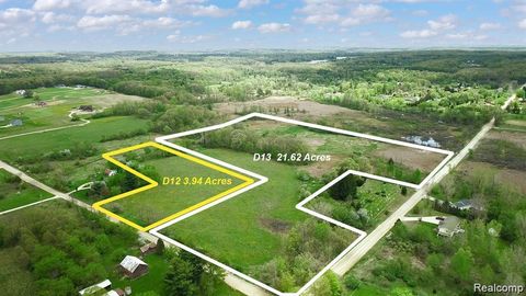 11000 GERMANY & Vacant Land Parcel D-12 Road Tyrone Township MI 48430