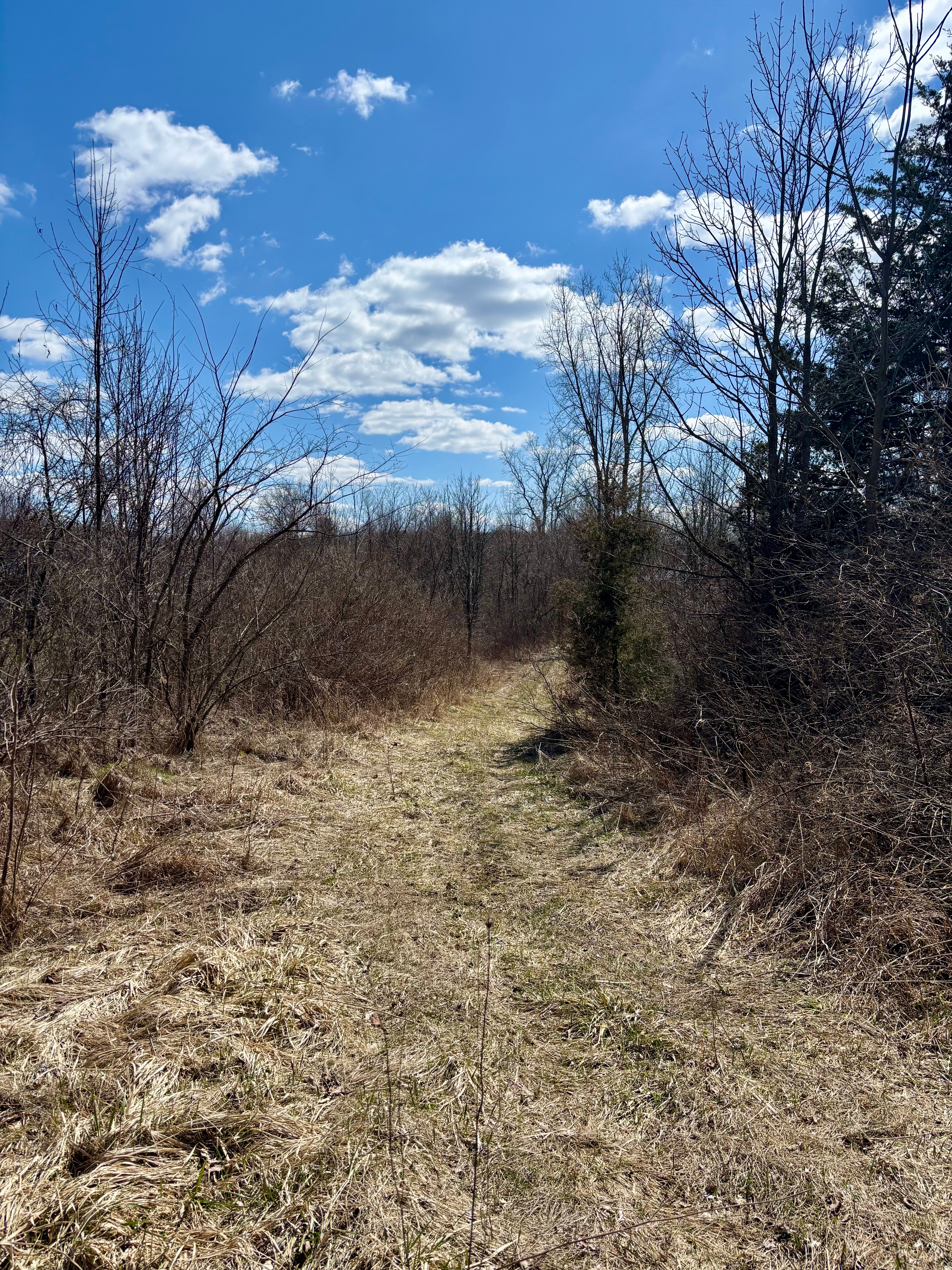 00 County Line Road