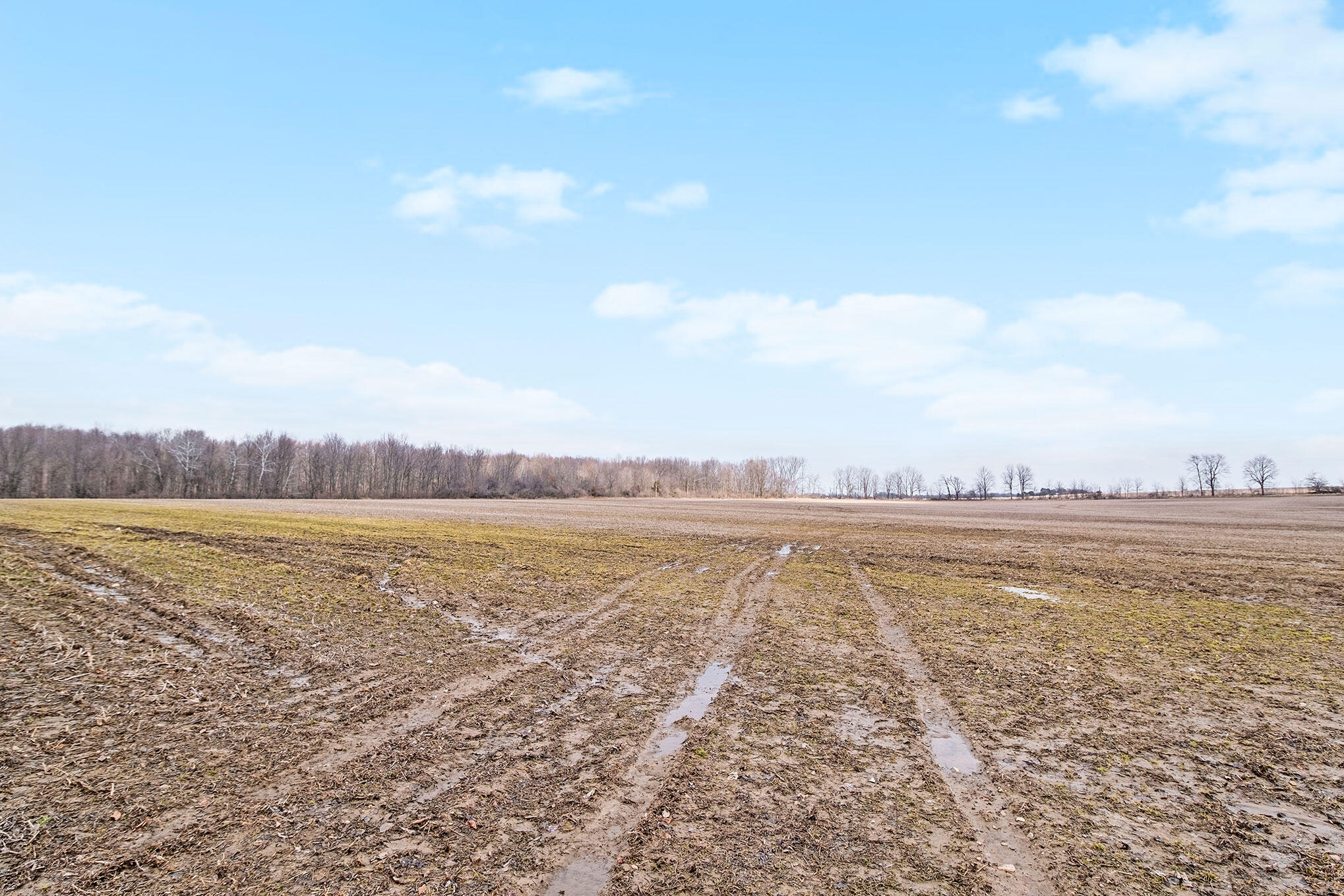 Coldwater City, Michigan 49036, United States, ,Land,Active,142186