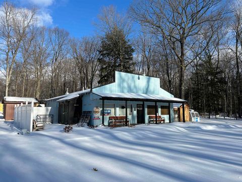 8294 Deadstream Road Lake Township MI 49640