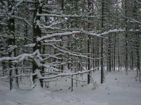 Lot # 9 Fleetwood Court Empire Township MI 49630