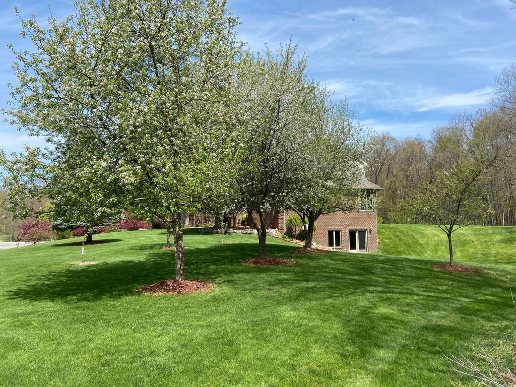 listing image 48