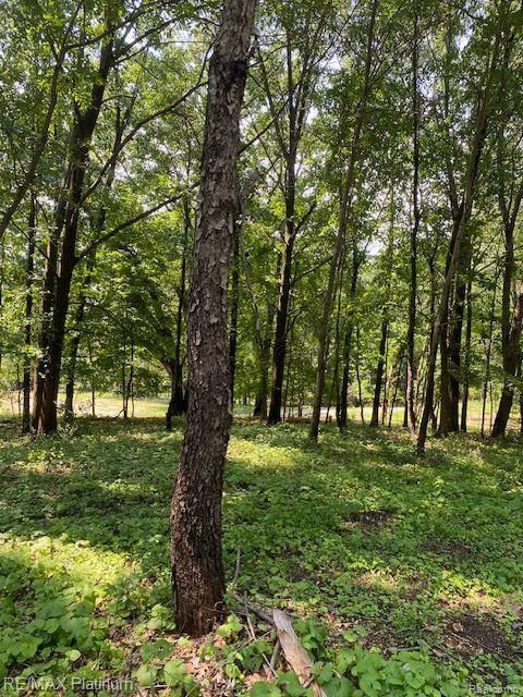 5 Sleaford-Parcel 5 - 2.5 Acres Road