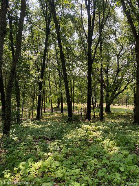 5 Sleaford-Parcel 5 - 2.5 Acres Road