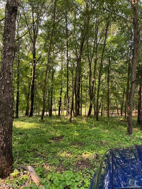 5 Sleaford-Parcel 5 - 2.5 Acres Road Howell Township MI 48843