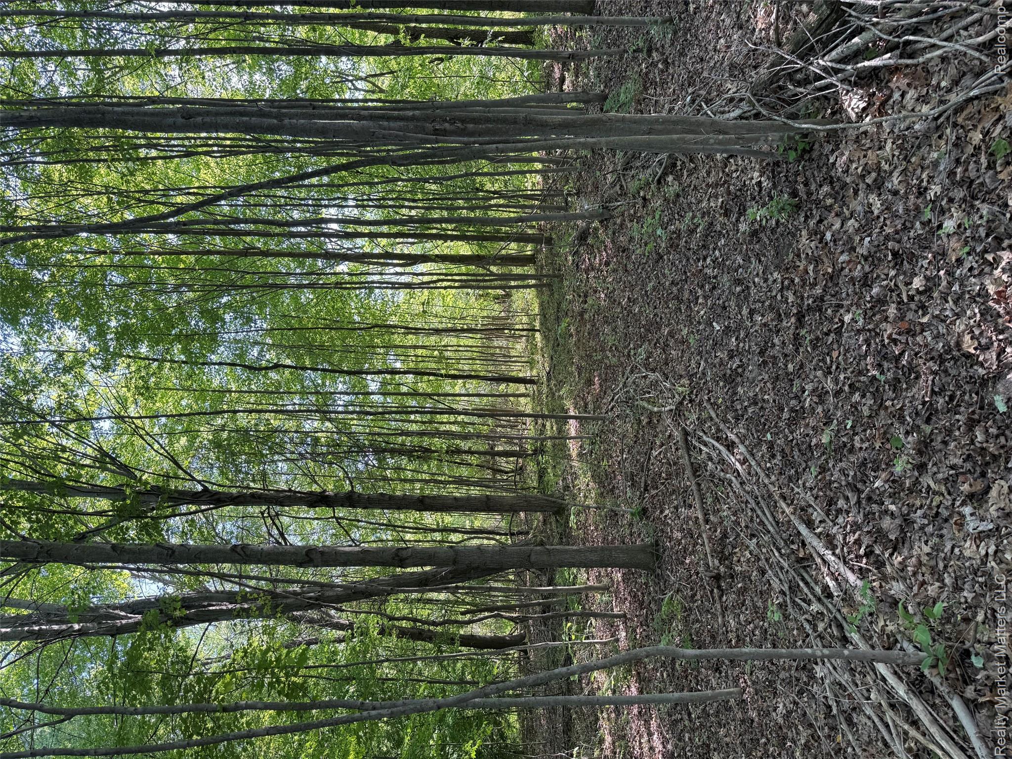 5400 Snow Den Trail