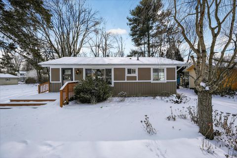 217 Portage Street Pinckney Village MI 48169