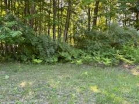 N/A Huron Woods Drive Whitney Township MI 48763