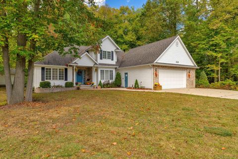 329 Northwood Drive Custer Township MI 48471