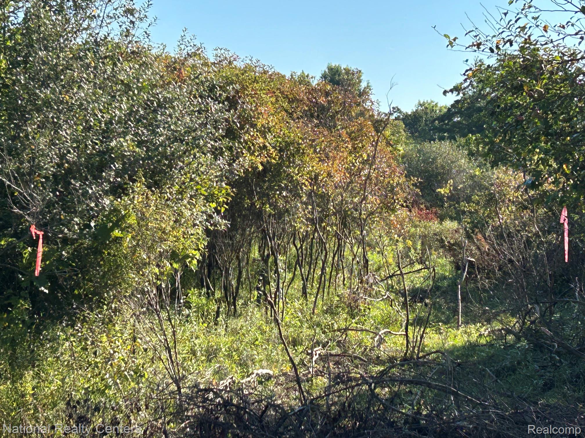 0000 Austin Farms Parcel D