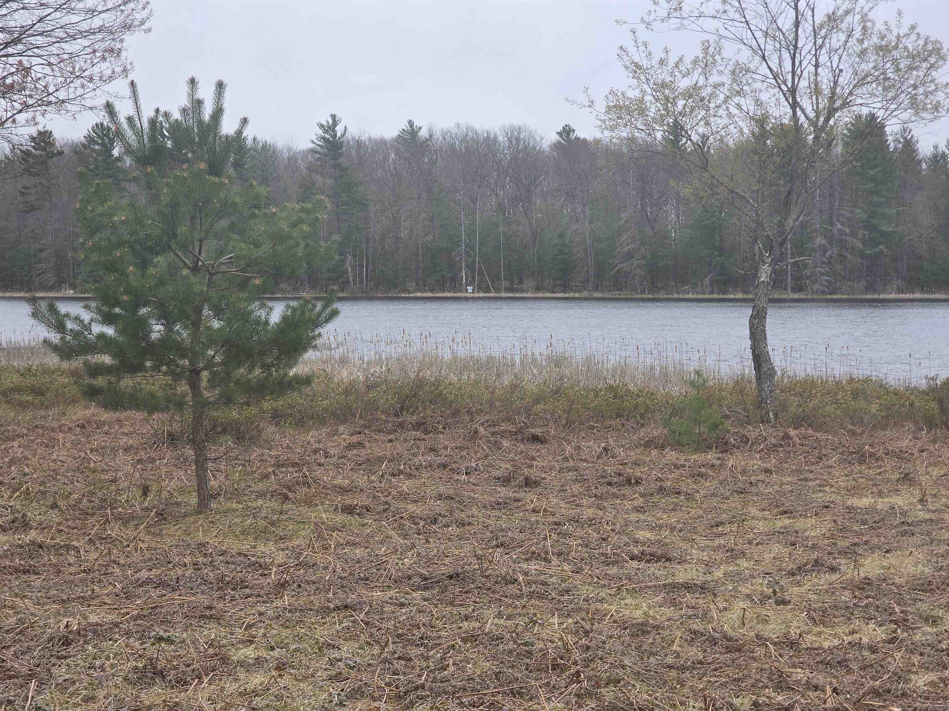 56 Blue Heron Drive