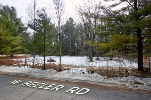 Taxiway Foxtrot Reeder Township MI 49651