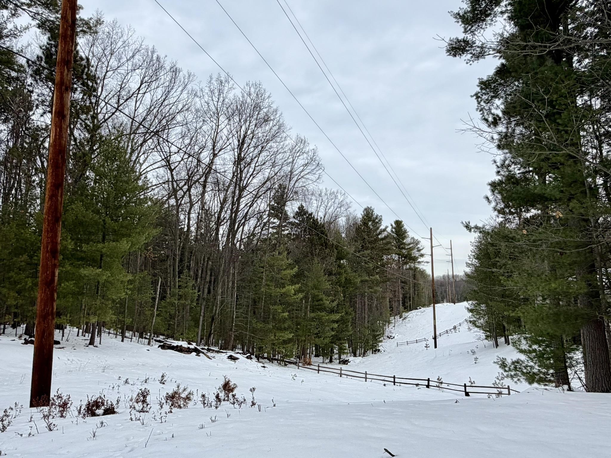 4478 Ground Pine Trail