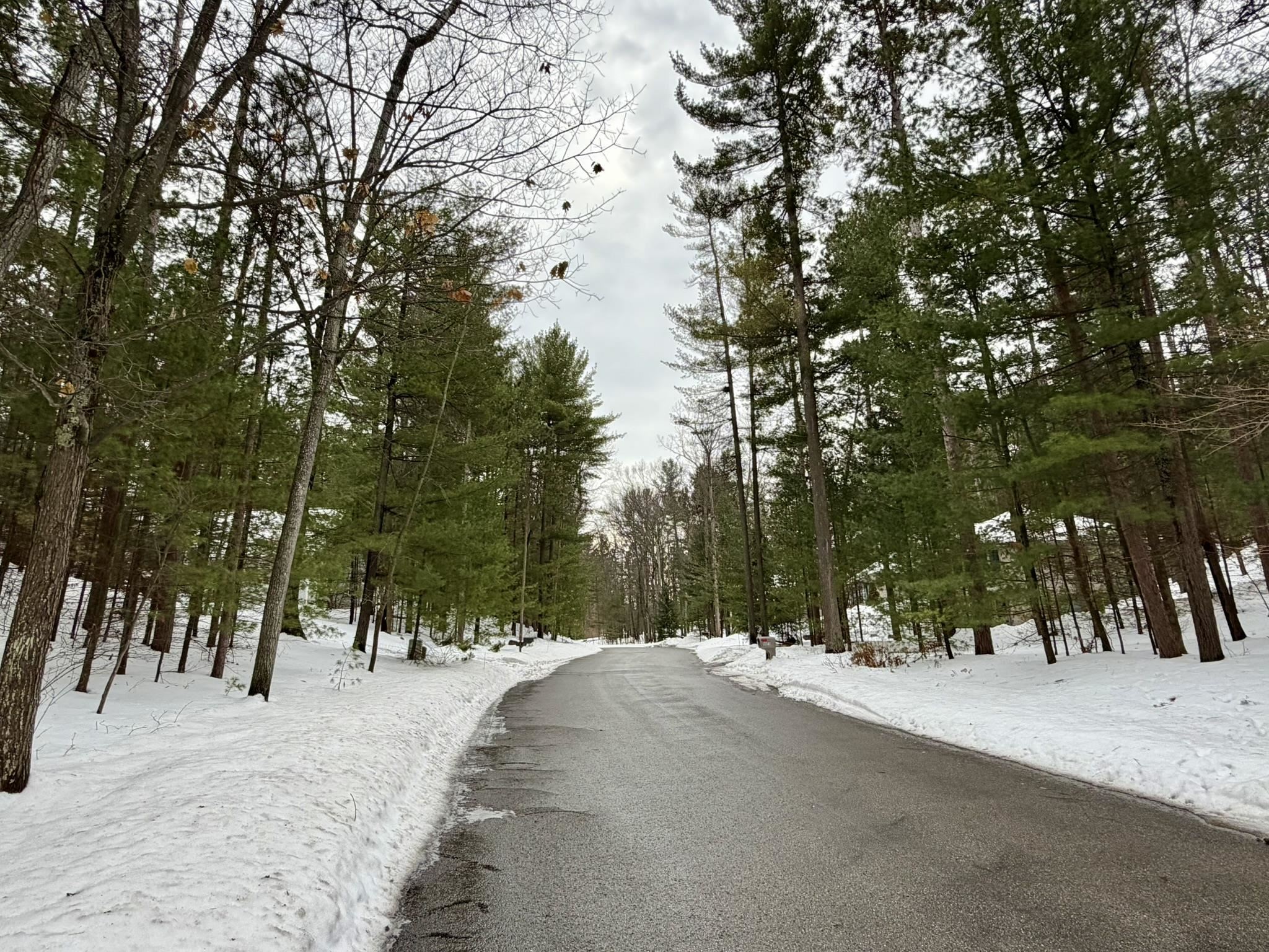 4478 Ground Pine Trail