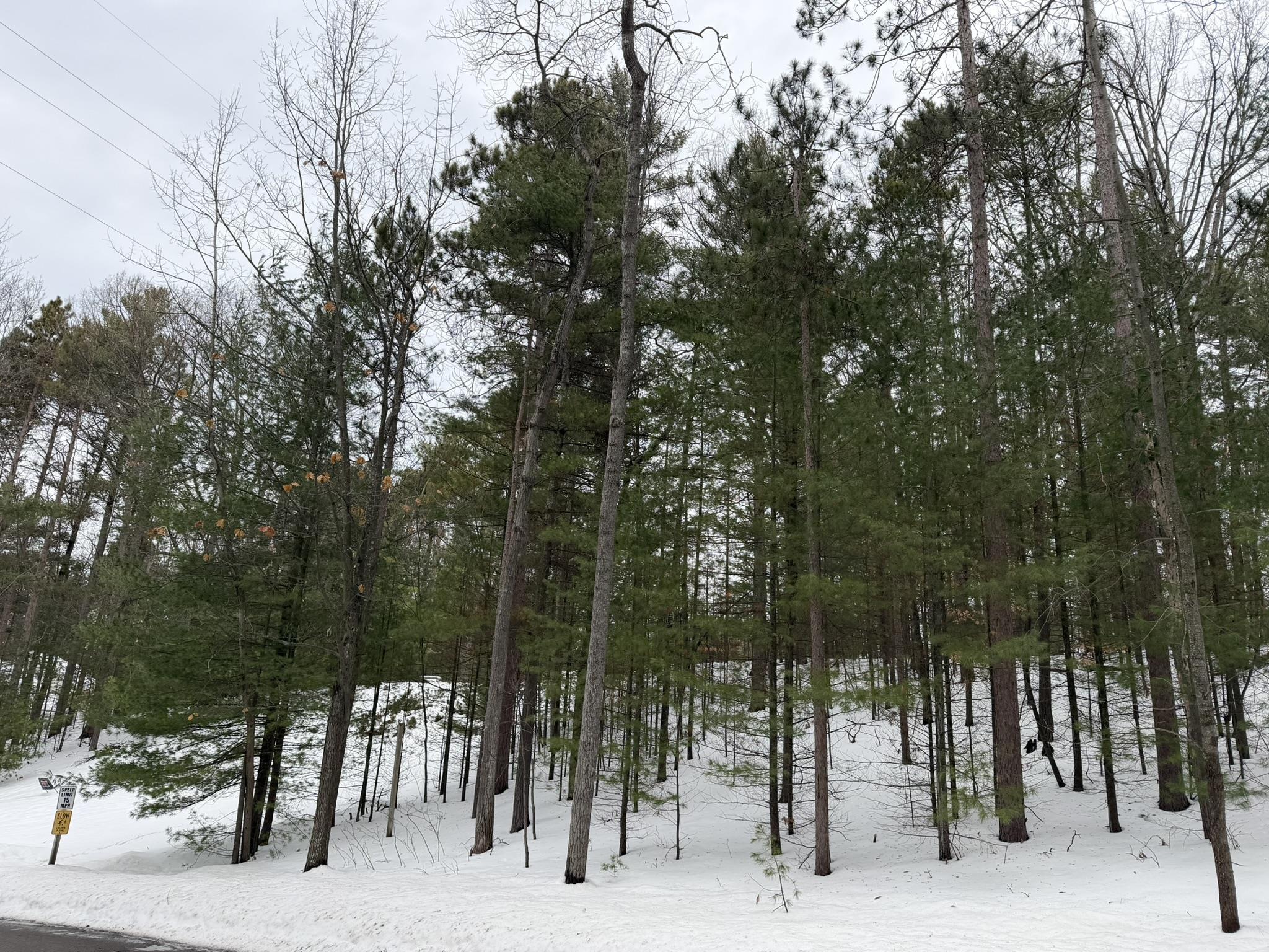 4478 Ground Pine Trail