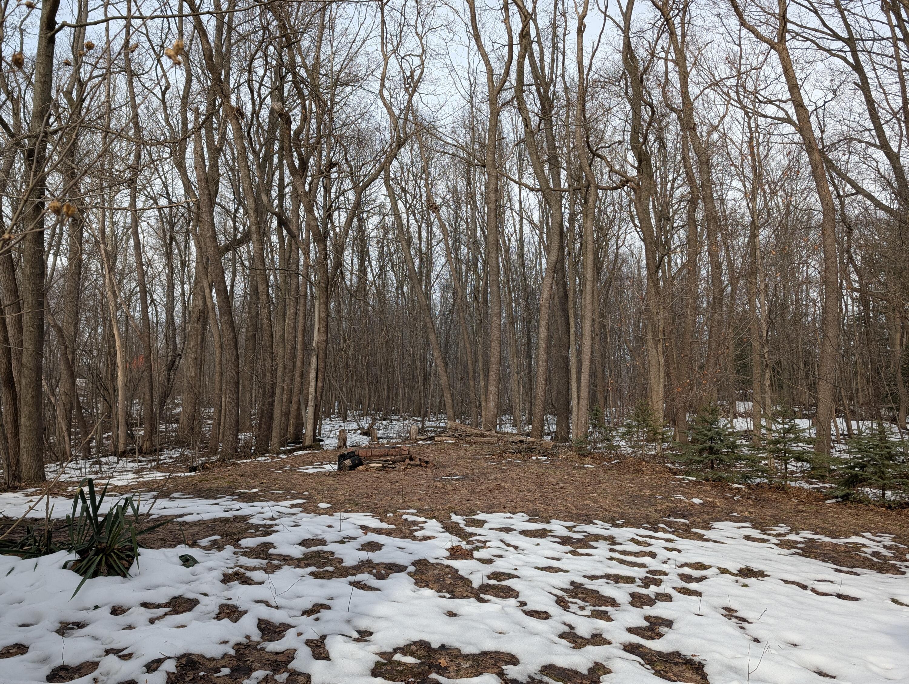 35516 Sweet Lake Drive