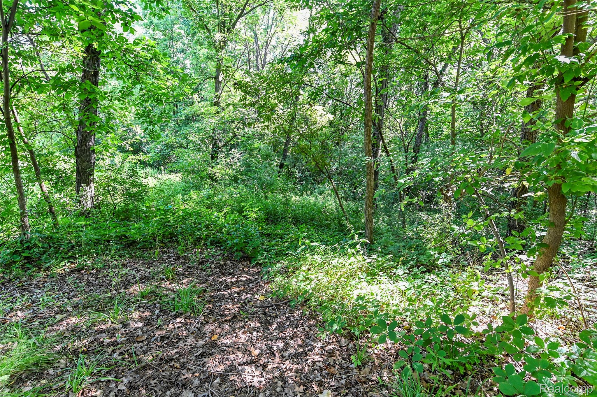 000 Holdridge Rd