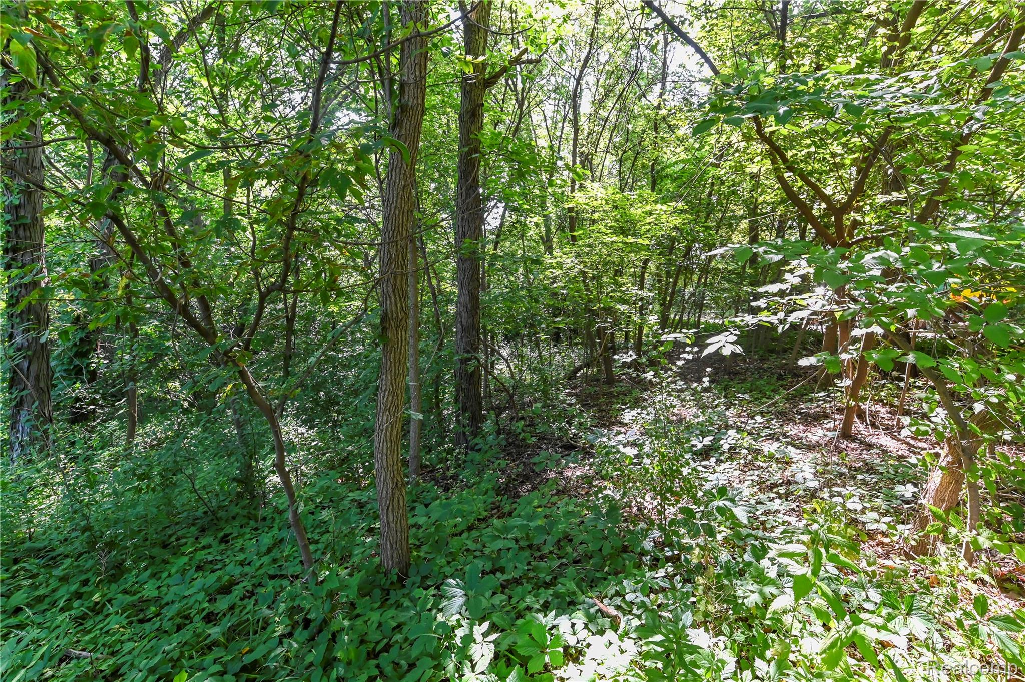 000 Holdridge Rd