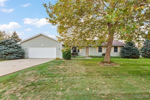 3109 E Northmor Drive Adrian Township MI 49221