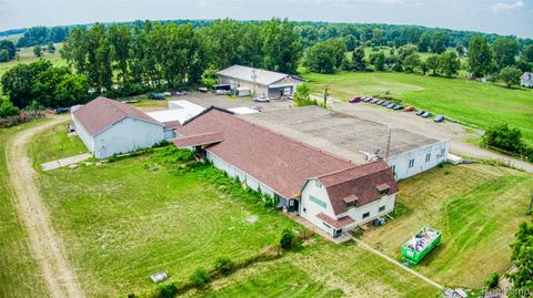 9649 Van Buren Road A Handy Township MI 48836
