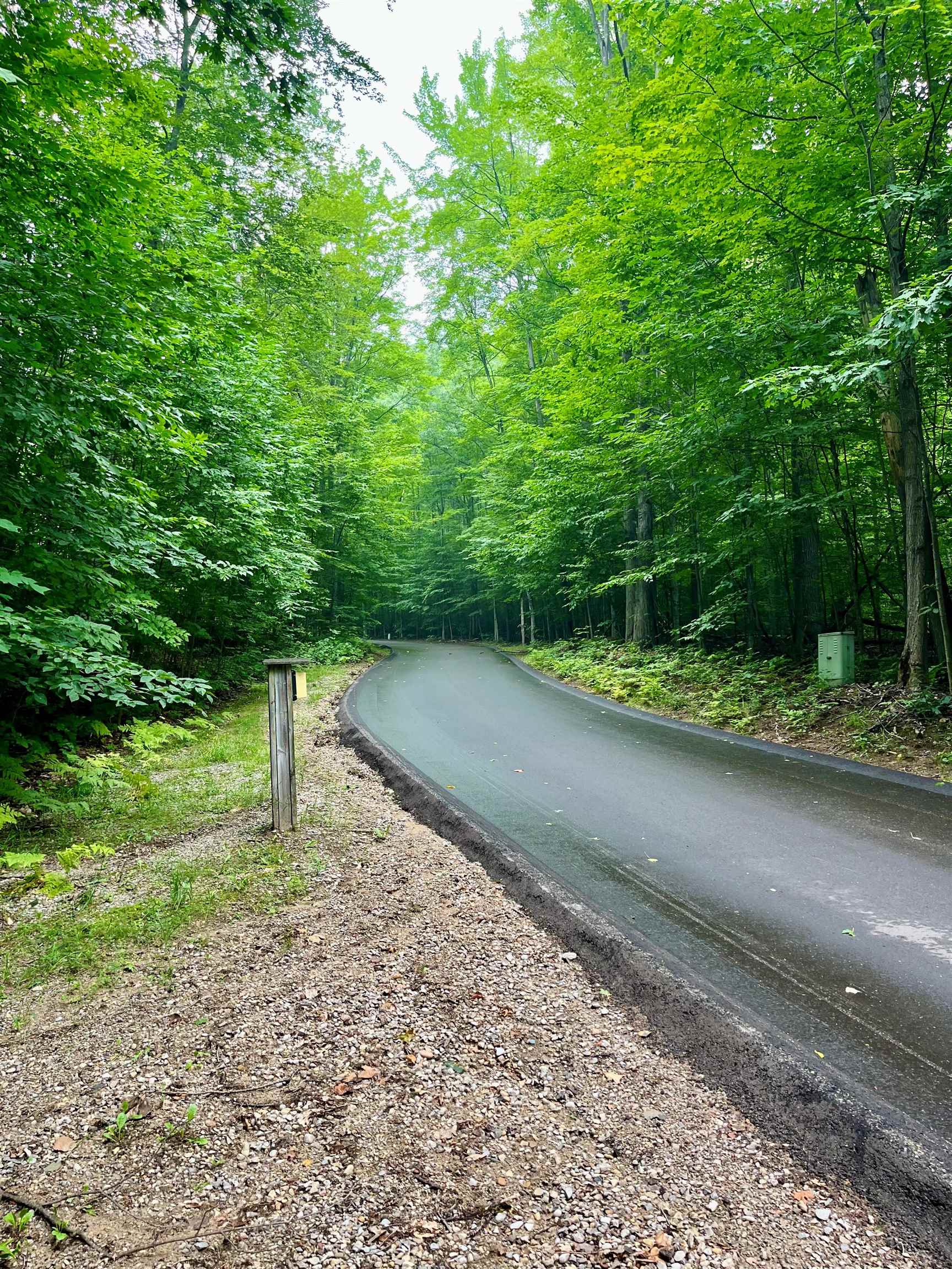 V/L 8 Forest Trail