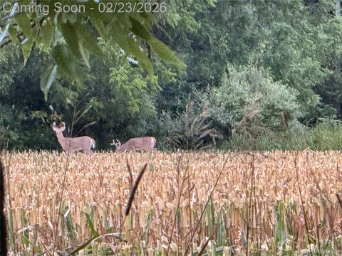 Tiny photo for 7150 W Mead Road, St Johns City, MI 48879 (MLS # 20261010240)