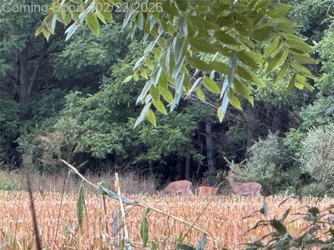 Tiny photo for 7150 W Mead Road, St Johns City, MI 48879 (MLS # 20261010240)