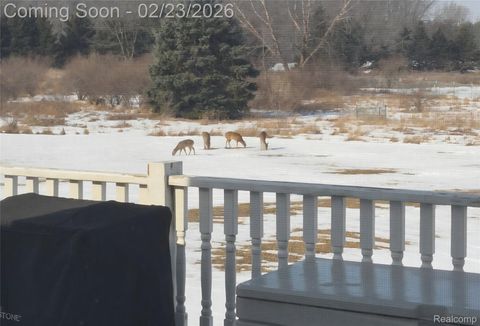 Tiny photo for 7150 W Mead Road, St Johns City, MI 48879 (MLS # 20261010240)