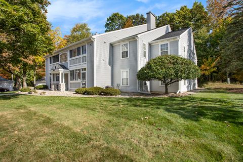 310 Butler Court Marshall City MI 49068