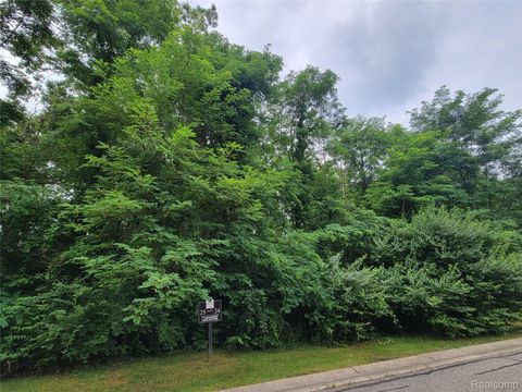 Lot 24 - Rexford Court Hamburg Township MI 48116