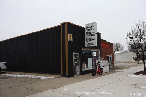 73 W Sanilac Road Sandusky City MI 48471