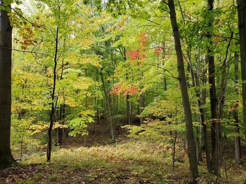 Taylor Road Forest Township MI 48746