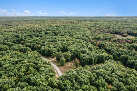 Lot 14 Pine Street Golden Township MI 49436