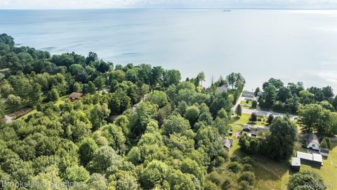 4188 Lakeshore Drive Road Lexington Township MI 48450