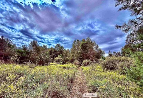 Parcel C M-113 Mayfield Township MI 49649