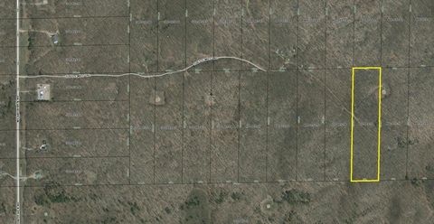 Parcel L Turtle Mill Trail Hayes Township MI 49735