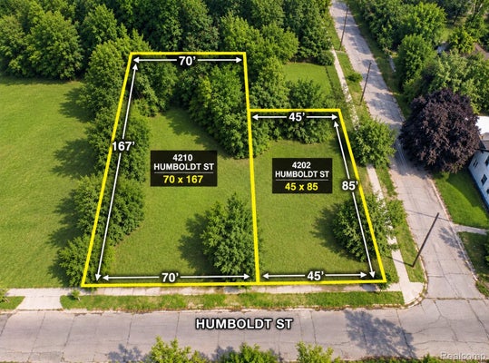 4210 HUMBOLDT ST, DETROIT, MI 48208 - Image 6daf940ee3da953848c4b01e998fc563/4059988644