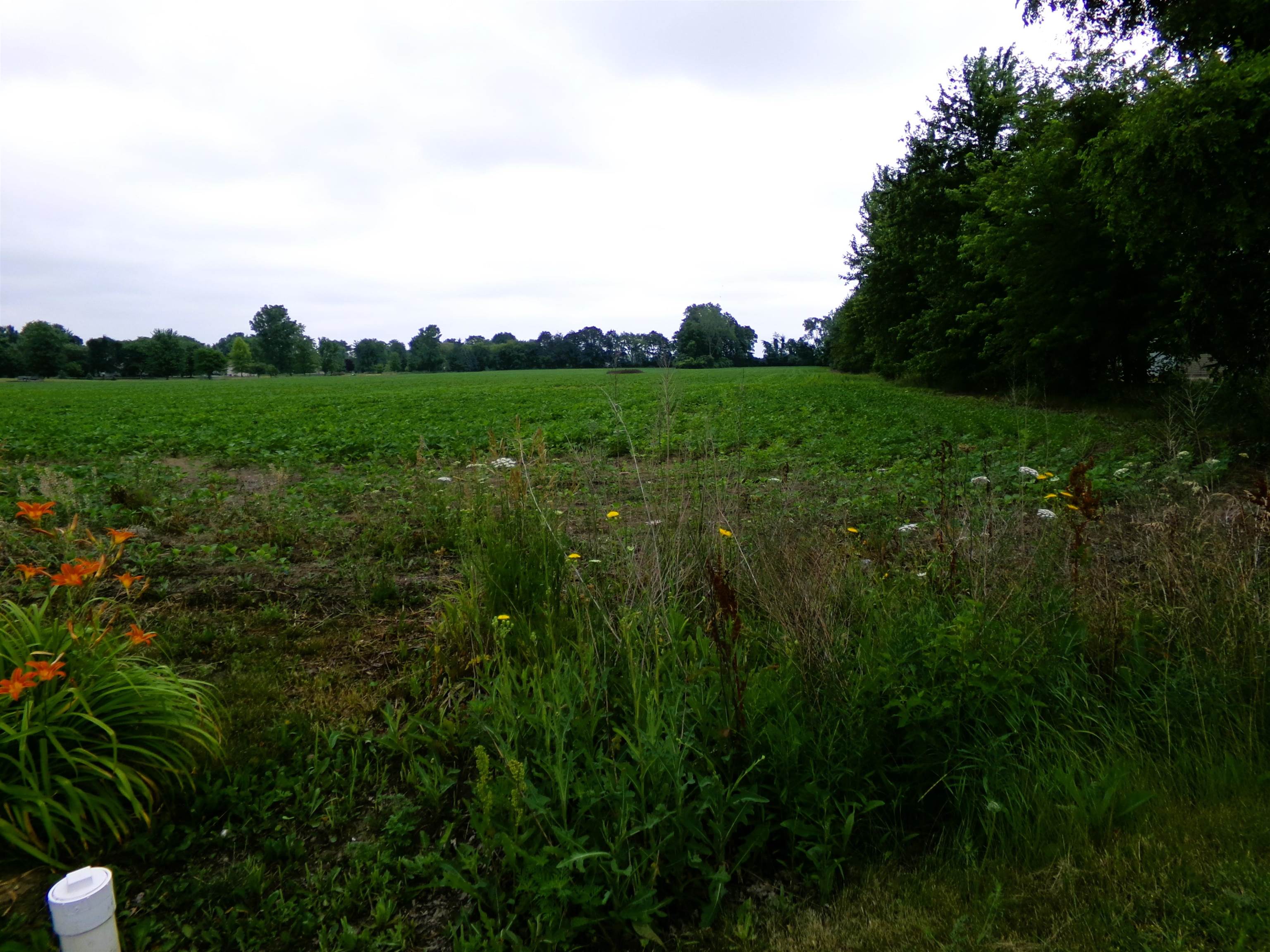 TBD Garfield Road