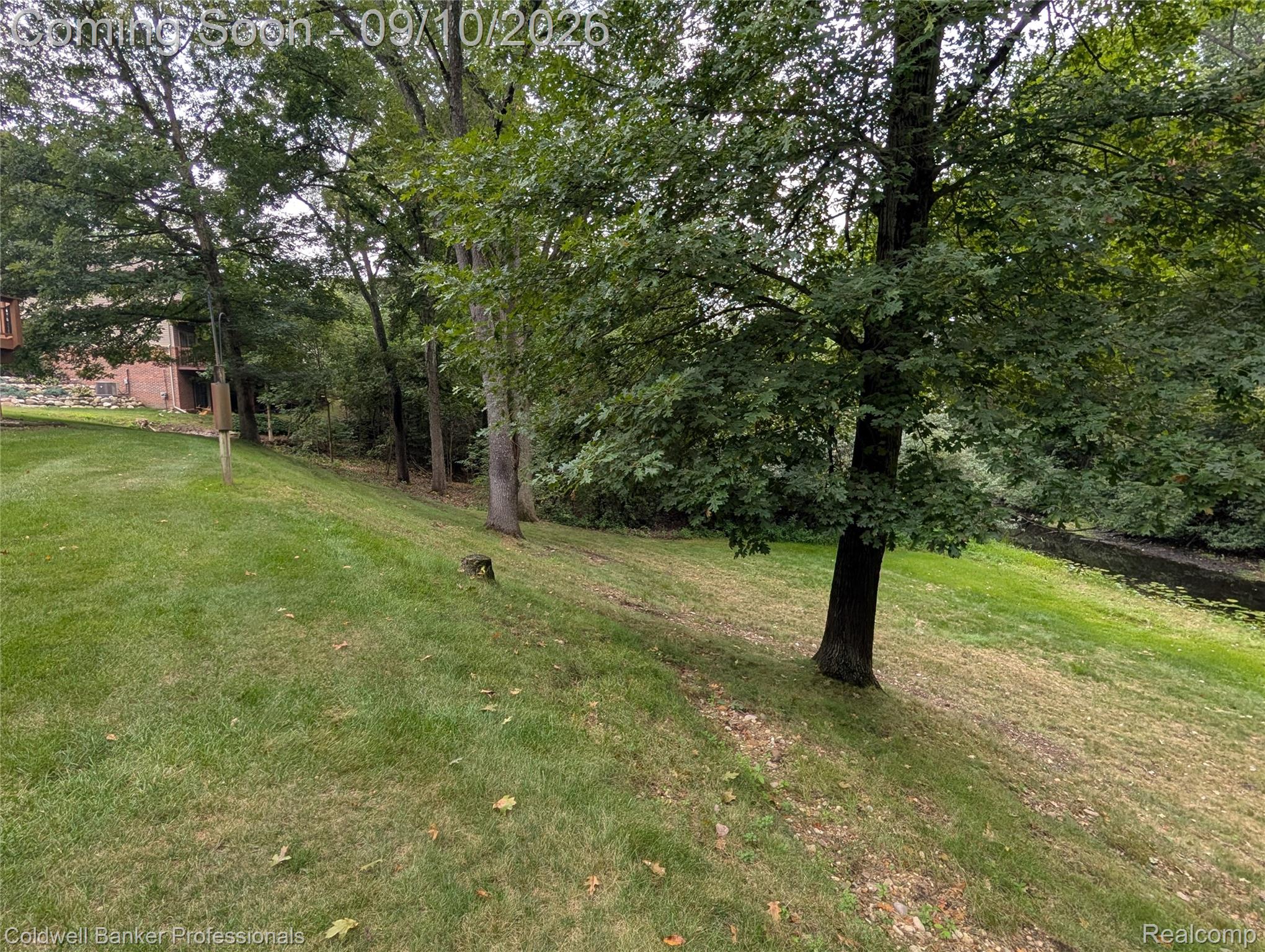 8146 Kimble Drive