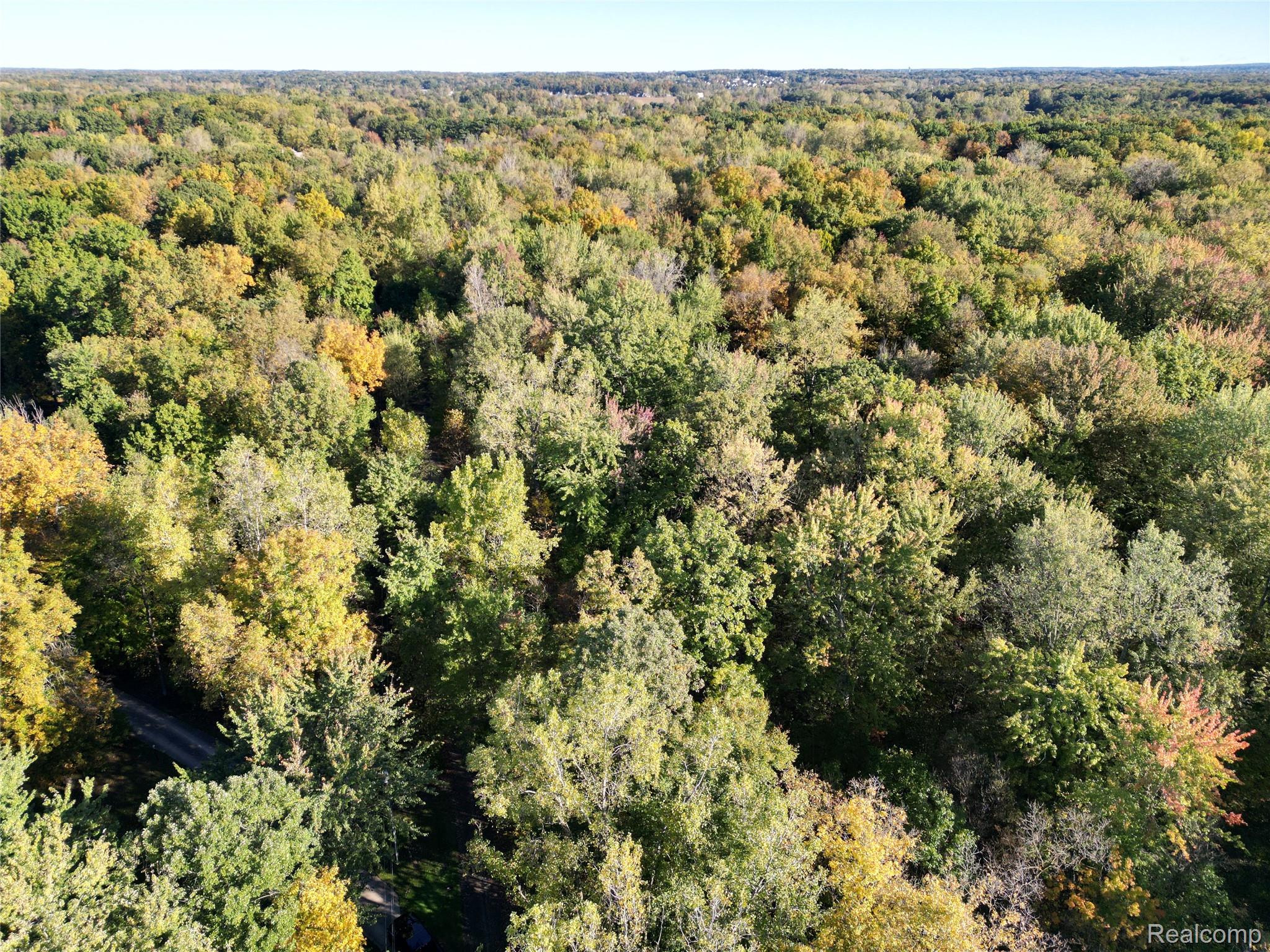 LOT #2 & #4 Deadwood