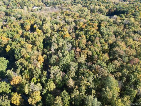 LOT #2 & #4 Deadwood Brighton City MI 48114