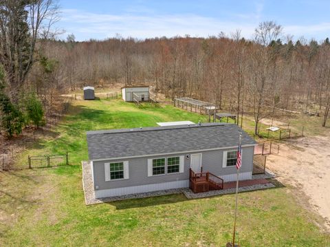 14141 Woods Trail Springdale Township Manistee MI 49683