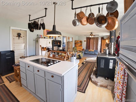 Tiny photo for 3679 Migan Road, Logan Township, MI 48756 (MLS # 20261085301)