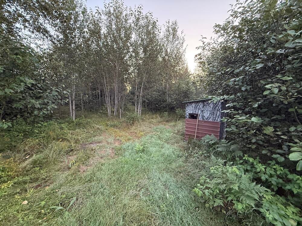 3379 Hehir Trail