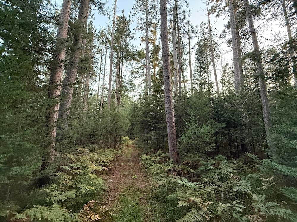 3379 Hehir Trail