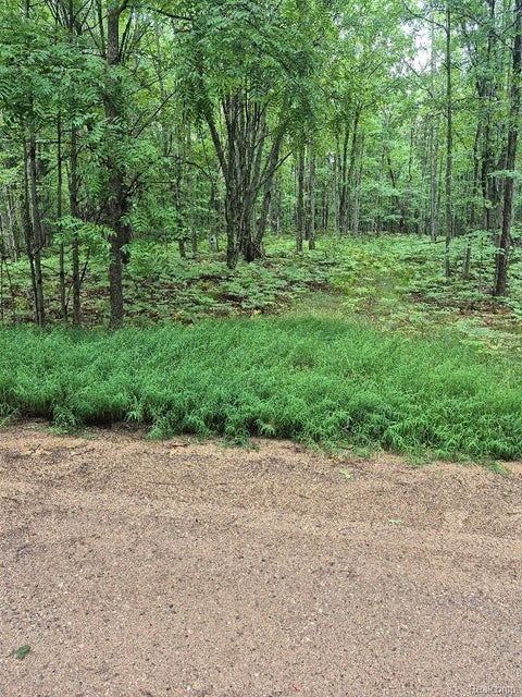 Photo for 162 (Lot 32) West Ridge Circle