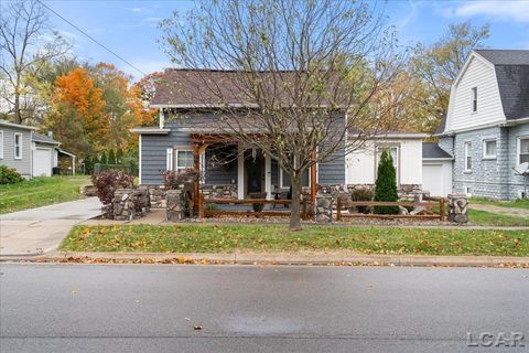 817 N Locust Street Adrian City MI 49221