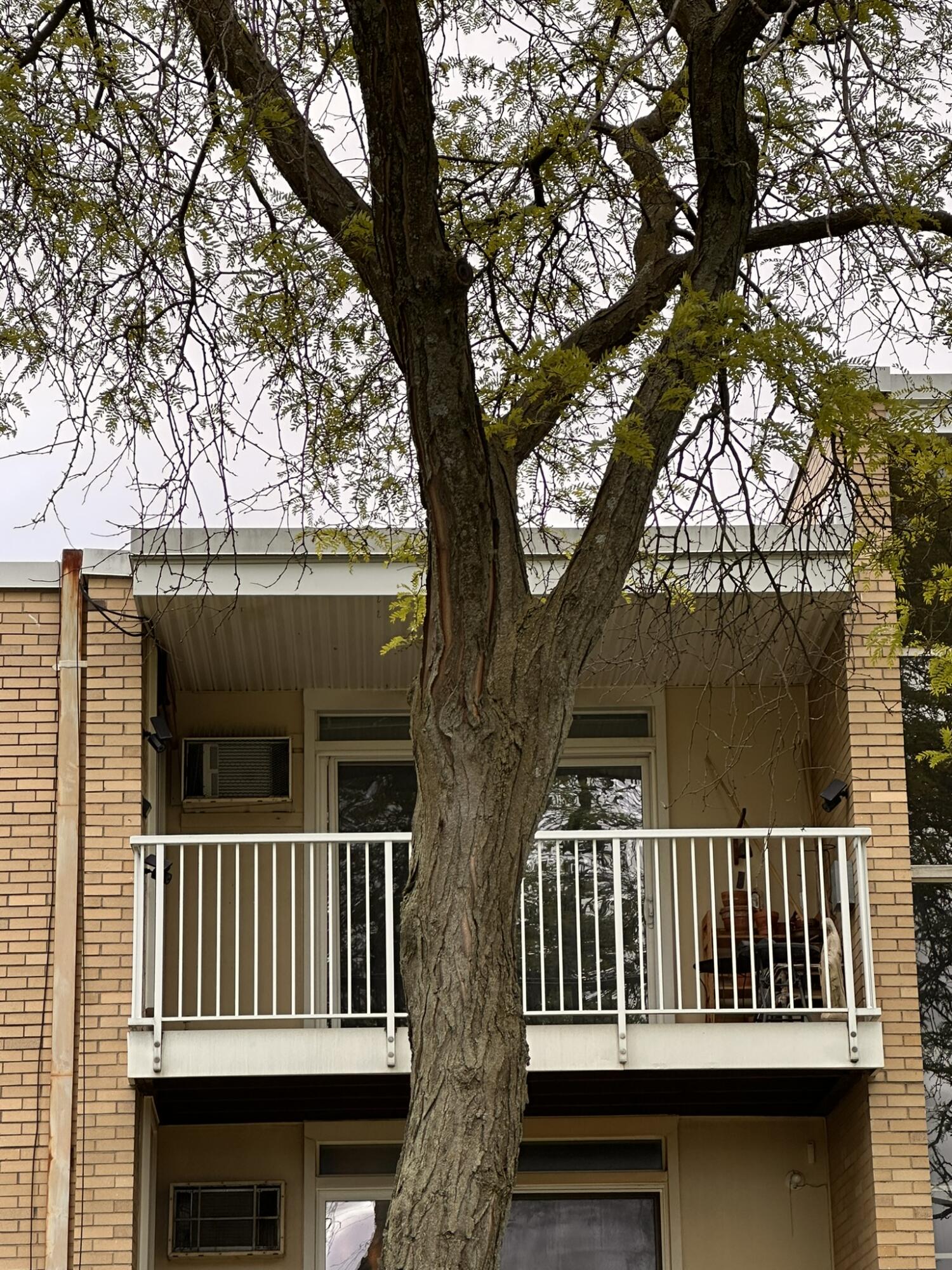 4921 N Crooks Road N-10